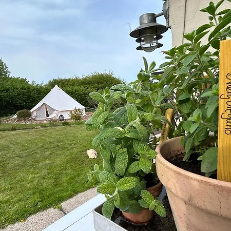 Cozy Garden Glamping