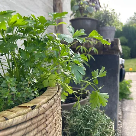 Luxe tent Cozy Garden Glamping Svendborg