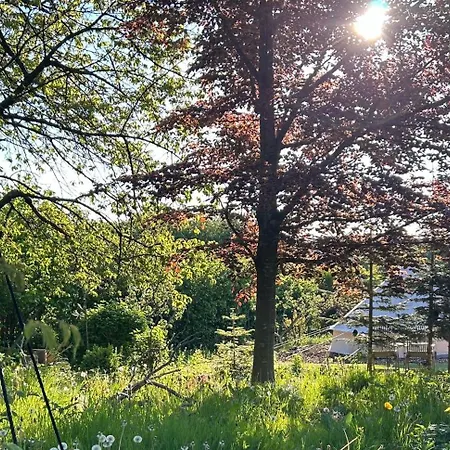 Cozy Garden Glamping *