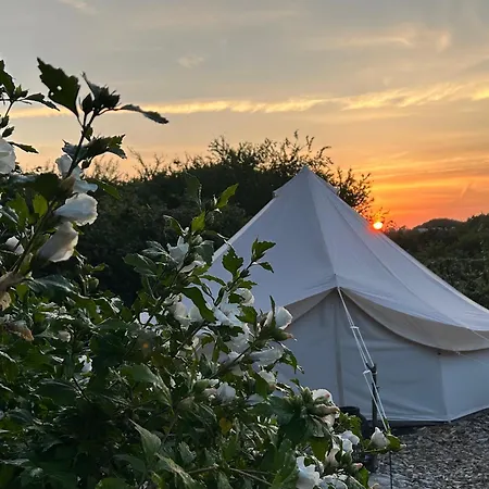 Luksustelt Cozy Garden Glamping