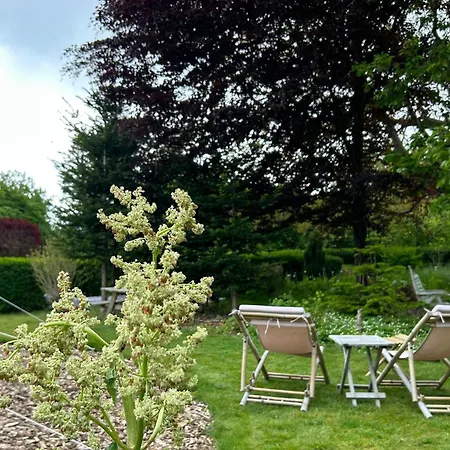 Glamping Cozy Garden Glamping