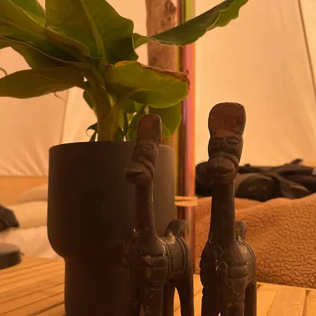 Campismo de Luxo Cozy Garden Glamping