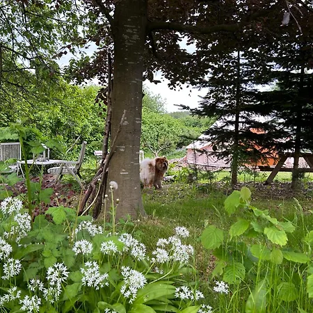 Cozy Garden Glamping אוהל מפואר