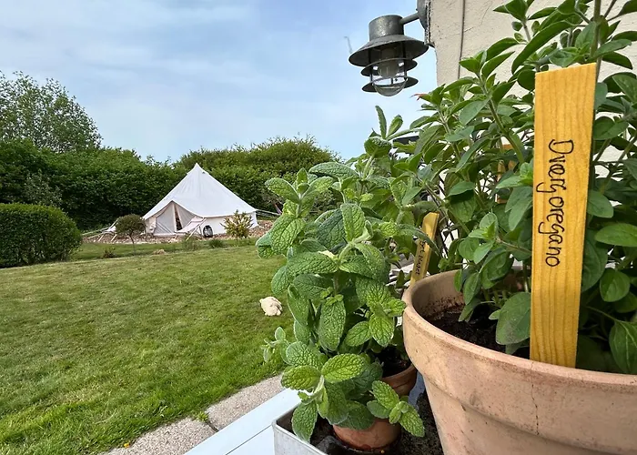 Cozy Garden Glamping