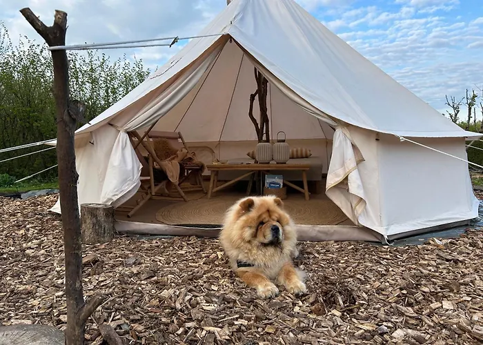 Cozy Garden Glamping *